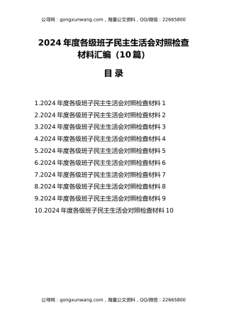 2024年度各级班子民主生活会对照检查材料汇编（10篇）