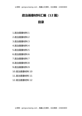政治画像材料汇编（12篇）
