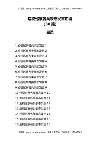 巡视巡察各类表态发言汇编（30篇）