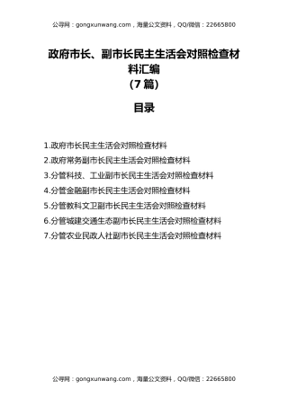 政府市长、副市长民主生活会对照检查材料汇编（7篇）