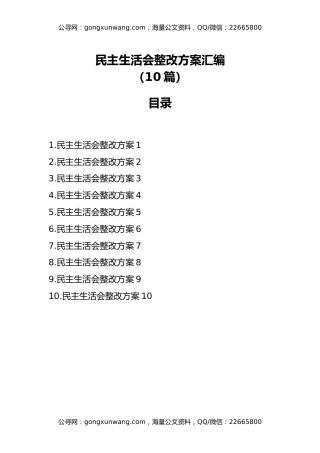 民主生活会整改方案（10篇）