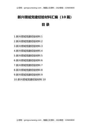 新兴领域党建经验材料汇编（10篇）