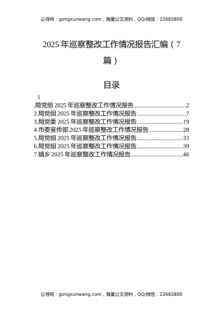 2025年巡察整改工作情况报告汇编（7篇）