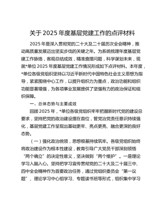 关于2025年度基层党建工作的点评材料
