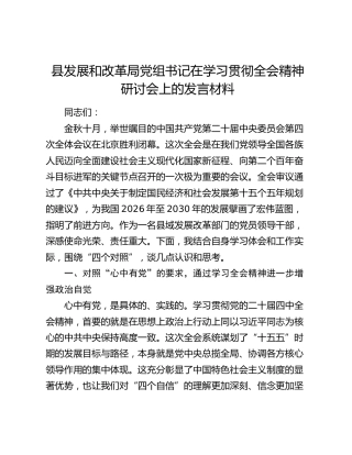 县发展和改革局党组书记在学习贯彻四中全会精神研讨会上的发言材料
