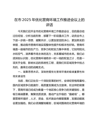 在市 2025 年优化营商环境工作推进会议上的讲话