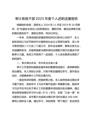 审计系统干部2025年度个人述职述廉报告