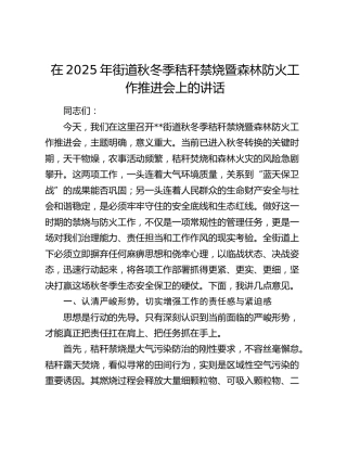 在2025年街道秋冬季秸秆禁烧暨森林防火工作推进会上的讲话