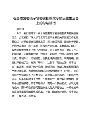 在县委常委班子省委巡视整改专题民主生活会上的总结讲话