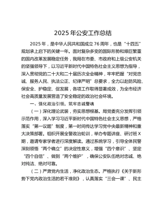 2025年公安工作总结