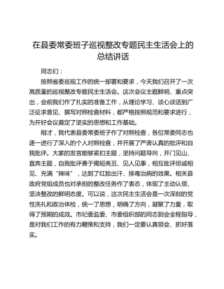 在县委常委班子巡视整改专题民主生活会上的总结讲话