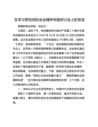 在学习贯彻党的四中全会精神专题研讨会上的发言