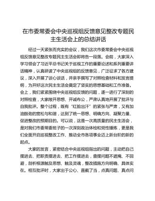 在市委常委会中央巡视组反馈意见整改专题民主生活会上的总结讲话