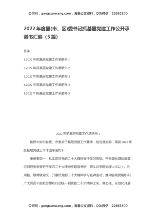 2022年度县(市、区)委书记抓基层党建工作公开承诺书汇编（5篇）