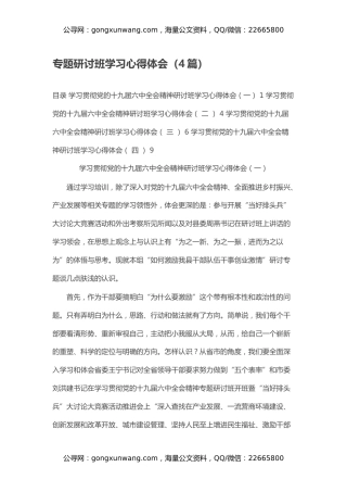 专题研讨班学习心得体会（4篇）