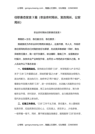任职表态发言3篇（农业农村局长、发改局长、公安局长）