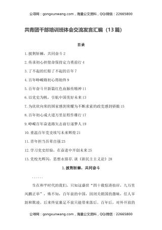 共青团干部培训班体会交流发言汇编（13篇）