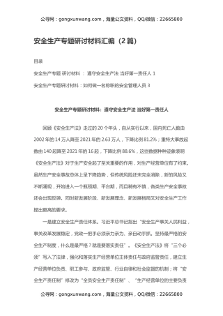 安全生产专题研讨材料汇编（2篇）