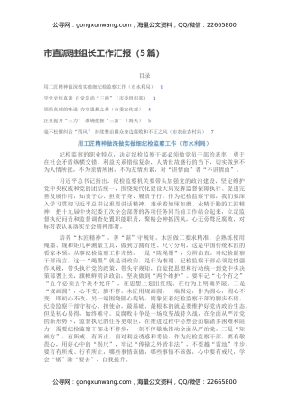 市直派驻组长工作汇报（5篇）