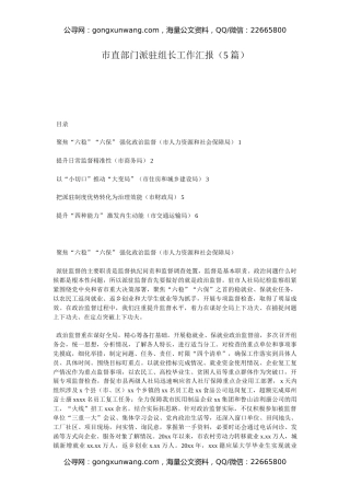 市直部门派驻组长工作汇报（5篇）