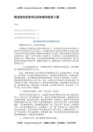 新当选党支部书记任职表态发言3篇