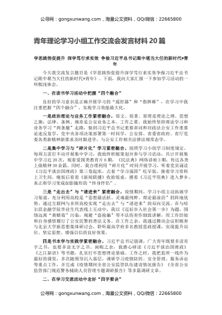 青年理论学习小组工作交流会发言材料20篇