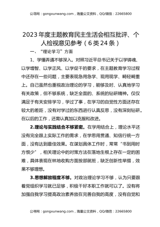 2023年度主题教育民主生活会相互批评、个人检视意见参考（6类24条）
