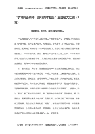 “学习两会精神，践行青年担当”主题征文汇编（2篇）