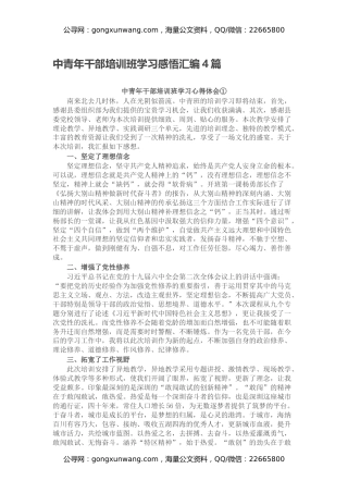 中青年干部培训班学习感悟汇编4篇（心得体会）