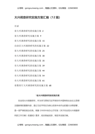 大兴调查研究实施方案汇编（12篇）