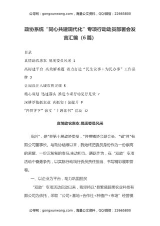 政协系统“同心共建现代化”专项行动动员部署会发言汇编（6篇）