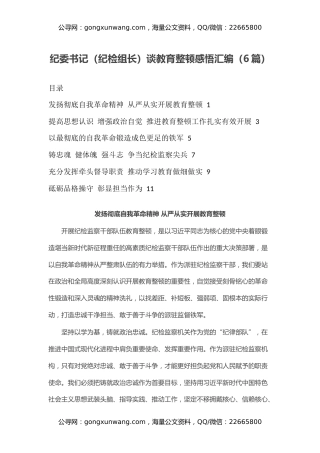 纪委书记（纪检组长）谈教育整顿感悟汇编（心得体会）（6篇）