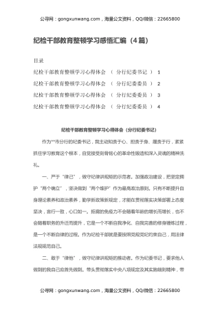 纪检干部教育整顿学习感悟汇编（心得体会）（4篇）