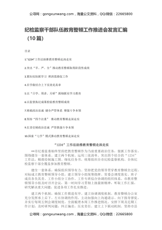 纪检监察干部队伍教育整顿工作推进会发言汇编（10篇）（2）