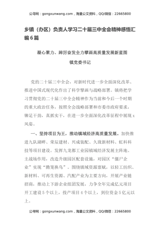 乡镇（办区）负责人学习二十届三中全会精神感悟汇编6篇