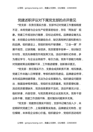 党建述职评议对下属党支部的点评意见