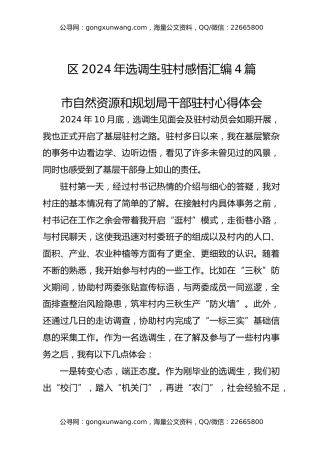 区2024年选调生驻村感悟汇编4篇