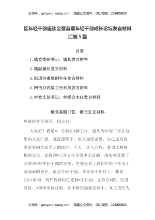 区年轻干部座谈会暨首期年轻干部成长论坛发言材料汇编5篇