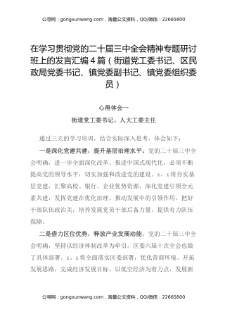 在学习贯彻党的二十届三中全会精神专题研讨班上的发言汇编4篇（街道党工委书记、区民政局党委书记、镇党委副书记、镇党委组织委员）