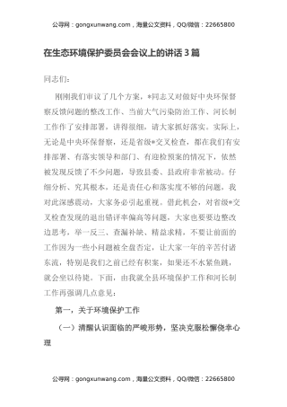 在生态环境保护委员会会议上的讲话3篇