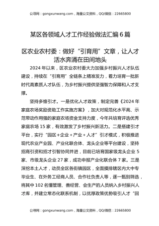 某区各领域人才工作经验做法汇编6篇