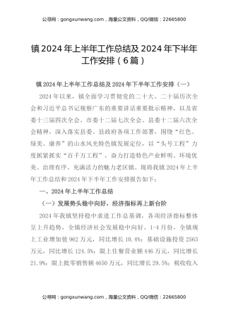 镇2024年上半年工作总结及2024年下半年工作安排（6篇）
