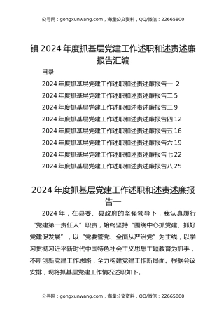 镇2024年度抓基层党建工作述职和述责述廉报告汇编