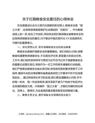 关于扛稳粮食安全重任的心得体会