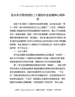 区长学习贯彻党的二十届四中全会精神心得体会