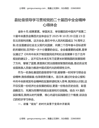 县处级领导学习贯彻党的二十届四中全会精神心得体会