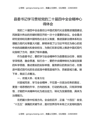 县委书记学习贯彻党的二十届四中全会精神心得体会(1)