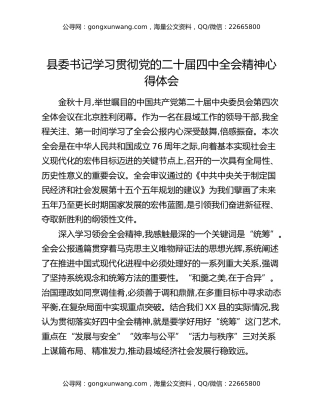 县委书记学习贯彻党的二十届四中全会精神心得体会（2）