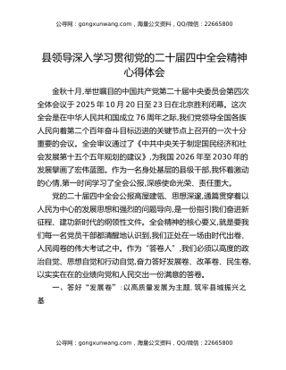 县领导深入学习贯彻党的二十届四中全会精神心得体会
