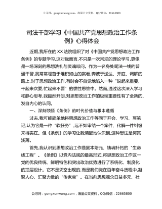 司法干部学习《中国共产党思想政治工作条例》心得体会
